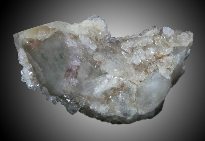 Cactus Quartz Crystal - South Africa #33910
